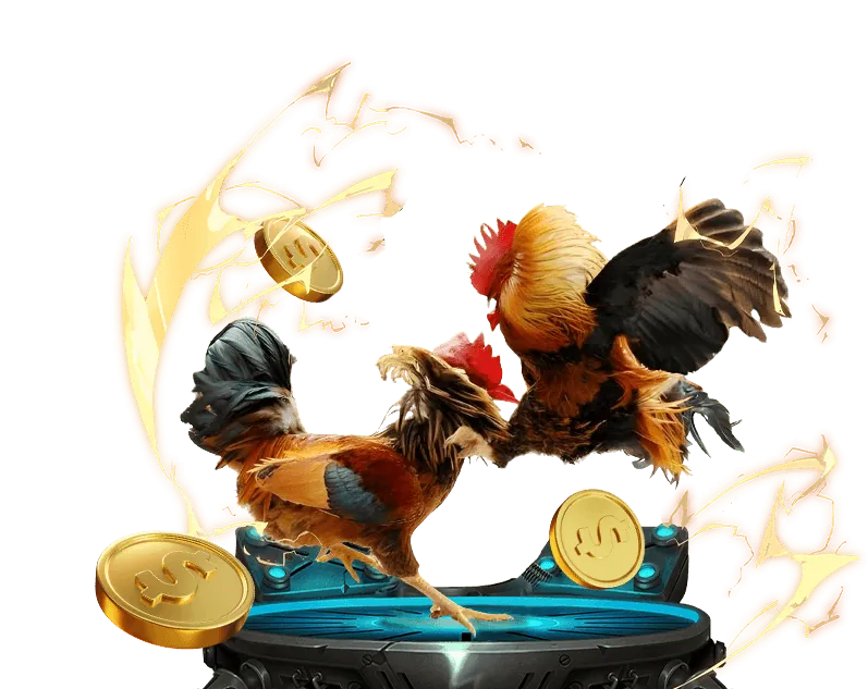 Giao diện đặt cược thể thao trực quan của y6 Casino